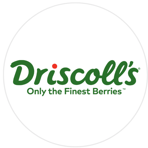 Driscolls
