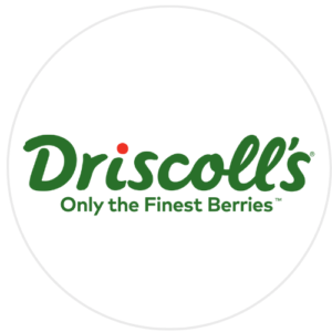 Driscolls